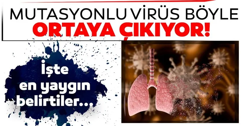 son dakika haberi mutasyonlu virus belirtileri degistirdi iste yeni koronavirus belirtileri sayfa 2 son dakika haberler