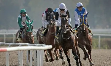 Corona virüs salgını nedeniyle duran at yarışları kapılarını yeniden açıyor