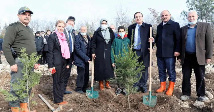 Fidanlar Alaaddin öğretmen için dikildi