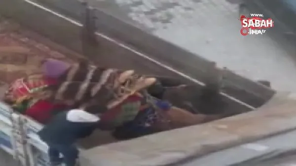 Çanakkale’nin Lapseki ilçesinde kamyon kasasında deveye sopalı işkence