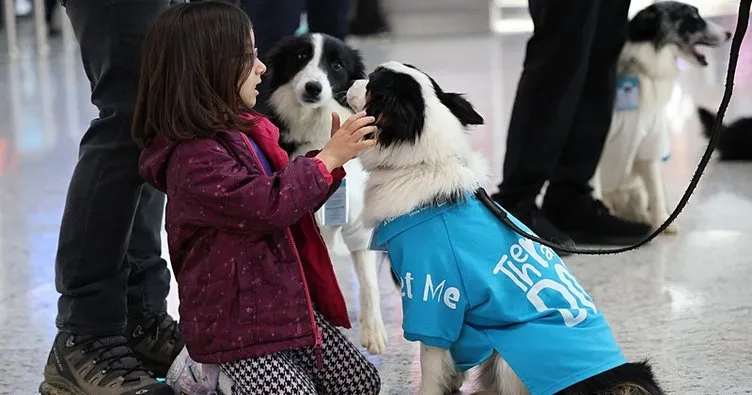 İstanbul Havalimanı’nda ’terapi köpekleri’ göreve başladı