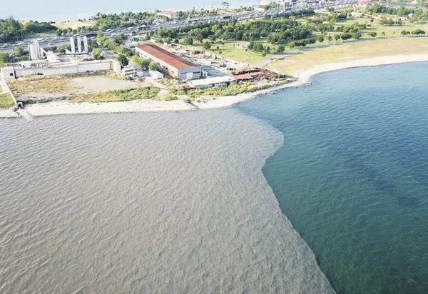 Bakanlık harekete geçti! Riva’yı katleden İSKİ’ye ceza kesildi...