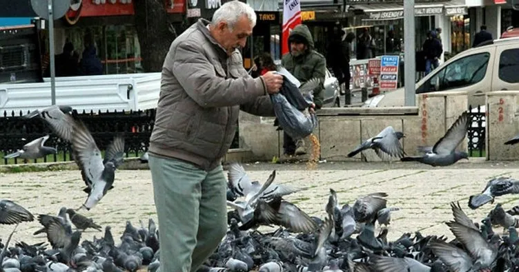 Sokak güvercinlerini her gün besliyor
