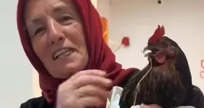 Röntgen çektirmek için tavuğunu acil servise getirdi #giresun