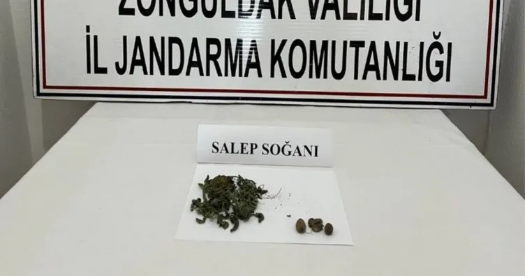 Jandarma salep soğanı ele geçirdi