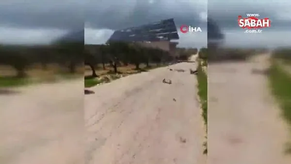 Suriye’yi fırtına vurdu: 4 ölü | Video