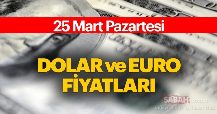 Dolar kurunda son dakika haberi: Güncel euro ve dolar fiyatları bugün ne kadar? 25 Mart canlı döviz