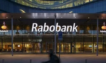 Rabobank: Euro/dolar paritesi 1,20’ye gerileyebilir
