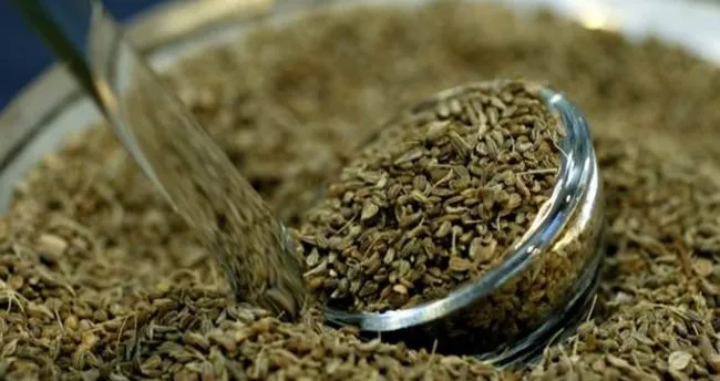 anason cayinin faydalari nelerdir ne ise yarar anason cayi zayiflatir mi nasil demlenir saglik haberleri