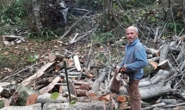 Üzerine ağaç devrilen kişi öldü