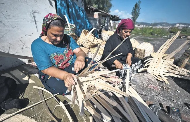 Sepetçilik Eğitimi