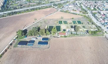 Denizden uzakta karides üretiyor