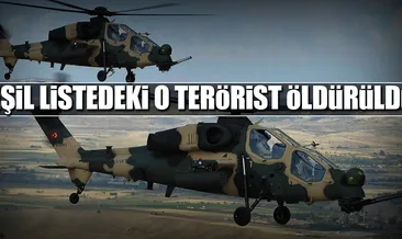 ’Yeşil listede’ bulunan 2 terörist öldürüldü