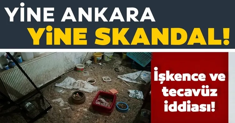 Ankara’da bu kez petshopa baskın: 19 hayvana el konuldu