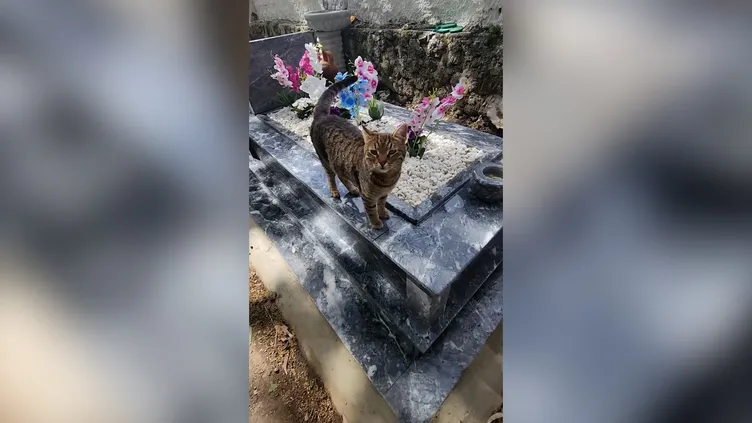 Evlat acısıyla sarsılmıştı! Safiye Soyman’dan yürek dağlayan paylaşım: Kavuştum çocuğuma...