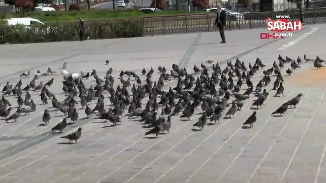 Son dakika: İstanbul'daki dehşetin görüntüleri ortaya çıktı! Kaldırımdaki onlara güvercini ezerek böyle öldürdü | Video