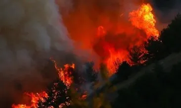 PKK’dan orman yangını çıkarın talimatı: Sigaraları yaka yaka gidin, her tarafı ateşe verin #adana