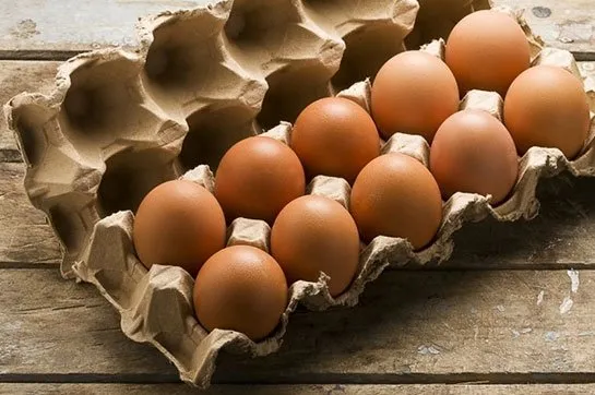 Milyonlarca yumurta toplatıldı!