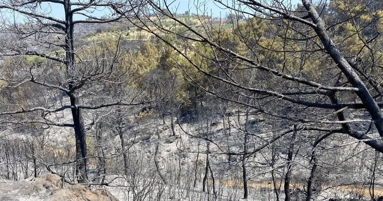 Manisa’daki orman yangını 6’ncı gününde