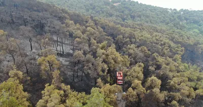 Son dakika haberi... Heybeliada’daki yangının verdiği tahribat havadan görüntülendi