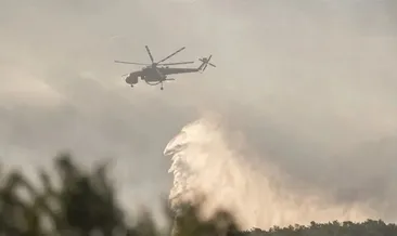 Manisa’da orman yangını!