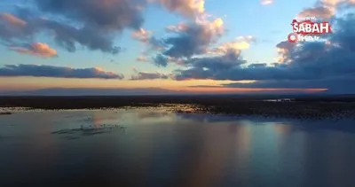 Kızılırmak Deltası Kuş Cenneti’nden mest eden görüntüler | Video