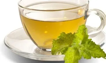 Yeşil çayın faydaları: Düzenli olarak tüketilmesi önerilen yeşil çayın faydaları nelerdir?