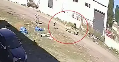 Karate hareketleri ile köpek saldırısından kurtuldu #erzurum