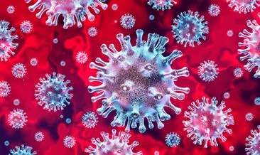 Sinovac ve Biontech Aşı randevusu nasıl alınır? 1,2 ve 3.doz ALO 182, E nabız ve MHRS Kovid-19 aşı randevusu nasıl alınıyor?