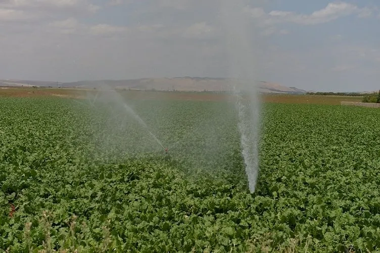 Atatürk Barajı çiftçiye can suyu oldu