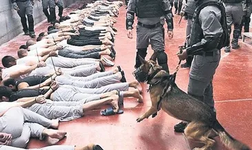 Tarih böyle vahşet görmedi