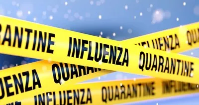 Domuz gribi belirtileri nelerdir ve kaç günde ortaya çıkar? İnfluenza Domuz gribi tedavisi var mı, influenza nasıl bulaşır?
