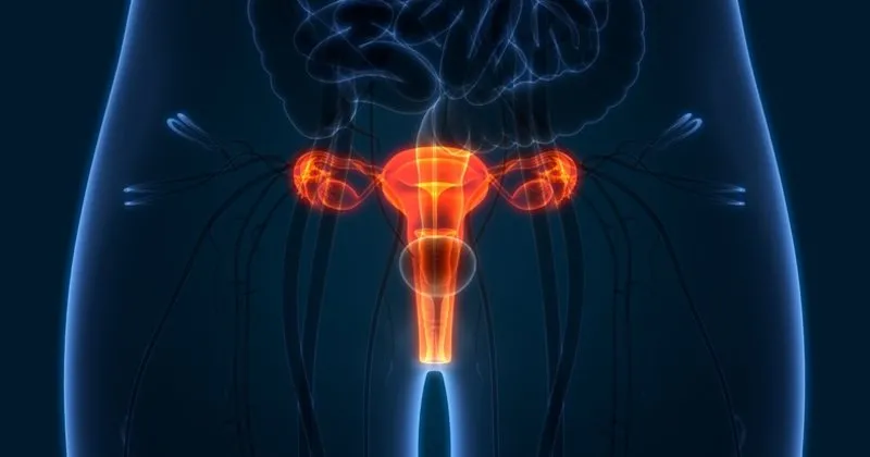 Menopoz Belirtileri Nelerdir Ne Zaman Baslar Menopoz Oncesi Ortaya Cikan Belirtiler Ne Kadar Surer Saglik Haberleri