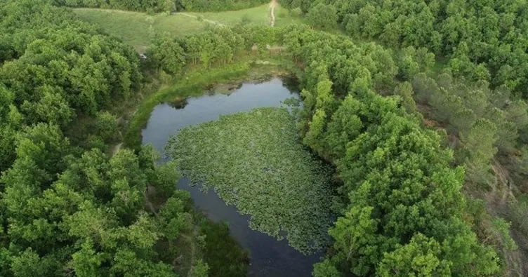 Nilüfer Gölü turizme açılıyor