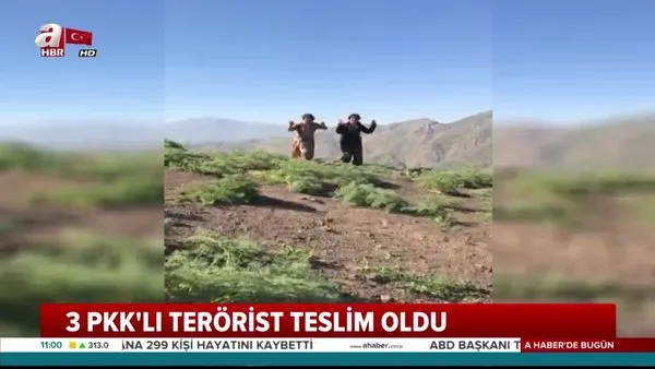 Şanlıurfa ve Mardin'de 3 PKK'lı terörist teslim oldu | Video