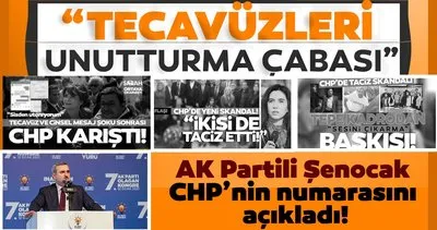Bayram Şenocak: CHP, taciz ve tecavüz vakalarını unutturmak için gündem değiştirmeye çalışıyor