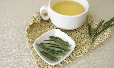 Zeytin Yaprağı Çayı Nasıl Yapılır? Taze Zeytin Yaprağı Çayı Nasıl Demlenir Ve Faydaları Nelerdir?