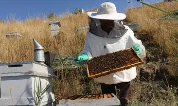 Mucize besin! Covid-19 aşısını da etkilediği ortaya çıktı