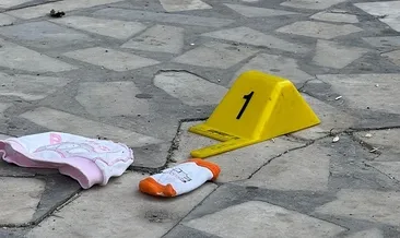 Cani anne, bebeğini pencereden attı