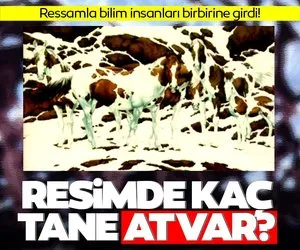 Resimde kaç tane at görüyorsunuz? Ressamla bilim insanları birbirine girdi…