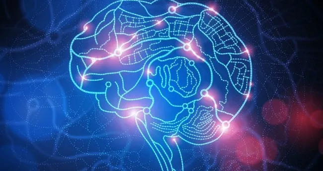 Deli Dana nedir? Nasıl tedavi edilir?