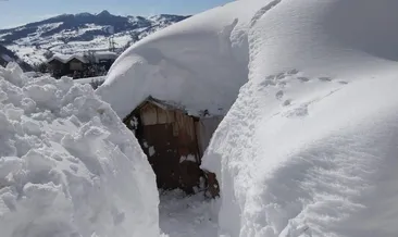 Şavşat’ta kar 3 metreye ulaştı