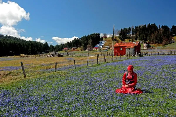 'Mor yayla'ya ziyaretçi akını