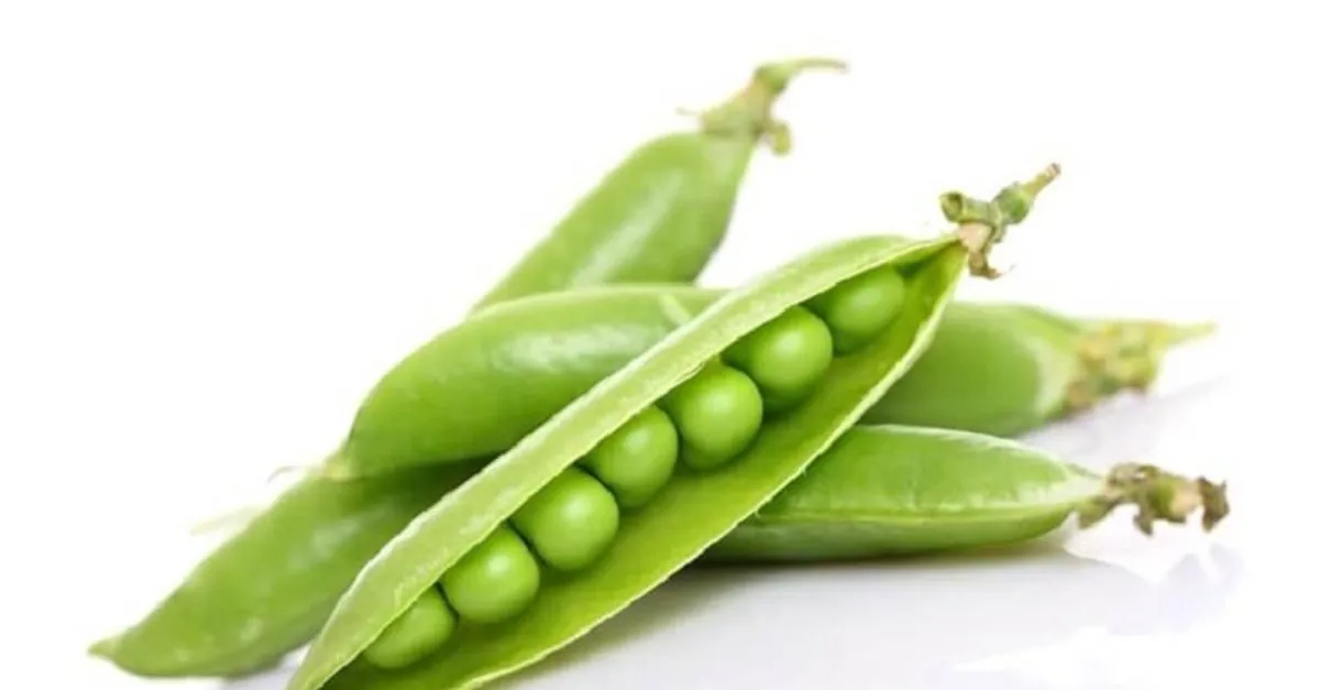 bezelyenin faydalari ve zararlari nelerdir bezelye neye iyi gelir besin degeri ve kalorisi nedir saglik haberleri