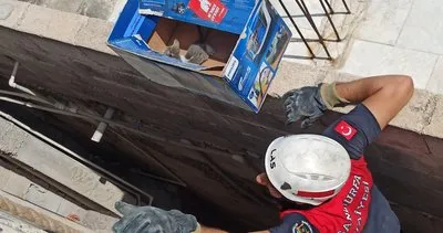Şanlıurfa’da evin havalandırma boşluğuna düşen 2 yavru kediyi itfaiye kurtardı #sanliurfa