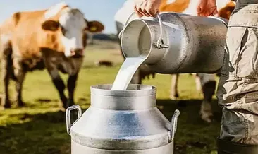 Süt üretiminde 1 milyon ton aşıldı