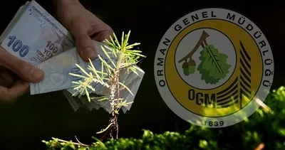 Fidan üretimine destek: 1 milyar 350 milyon liralık ödenek! 66 ilde uygulanacak