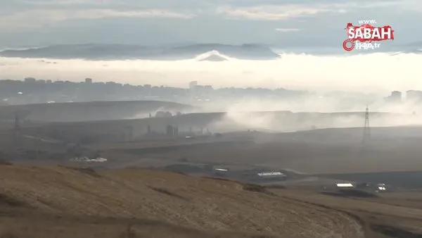 Sivas'ta sis etkili oldu, görüş mesafesi 10 metreye düştü | Video