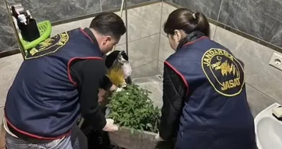 Evlerinde esrar yetiştiren 2 kişi yakalandı #hatay