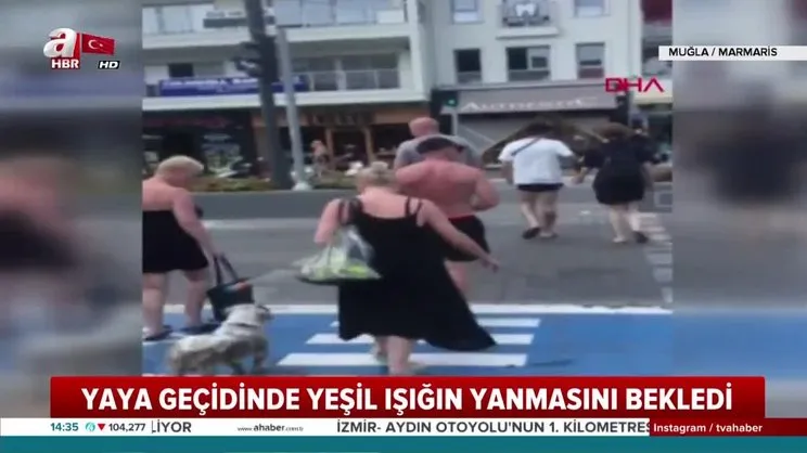 Kırmızı ışıkta bekleyen köpek
